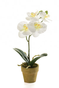 Orchidea artificiale - 1 vaso - crema