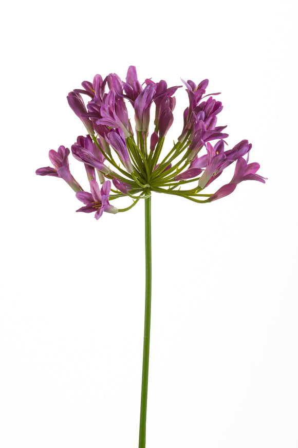 Agapanthus artificial - 1 tallo - violeta