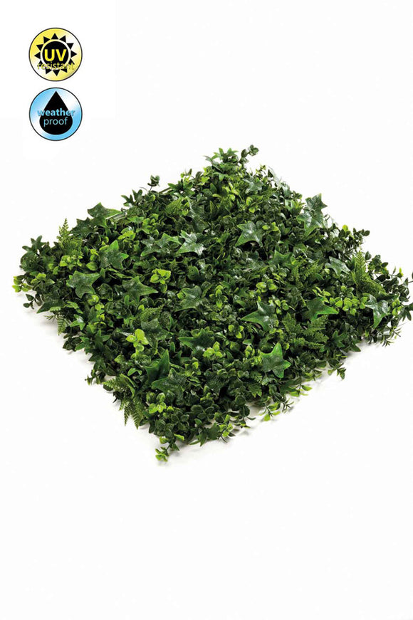 Plantas artificiales de pared UV hiedra/helecho/boj/seto - 50x50cm