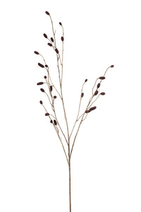 Sanguisorba artificial - 1 rama - avellana