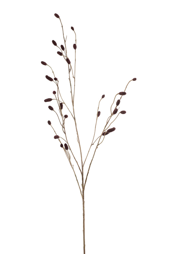 Sanguisorba artificial - 1 rama - avellana
