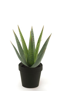 Artificial aloe vera - 1 pot - Green