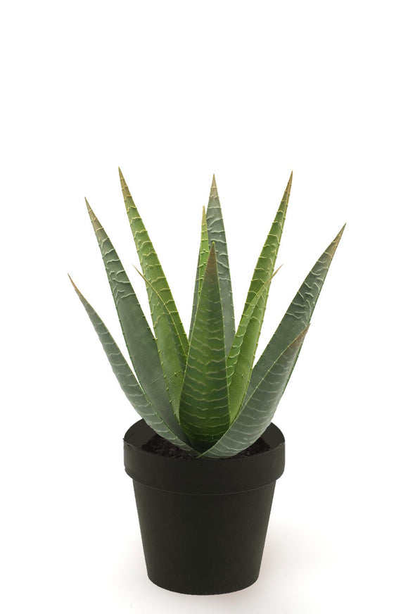 Aloe vera artificial - 1 maceta - Verde