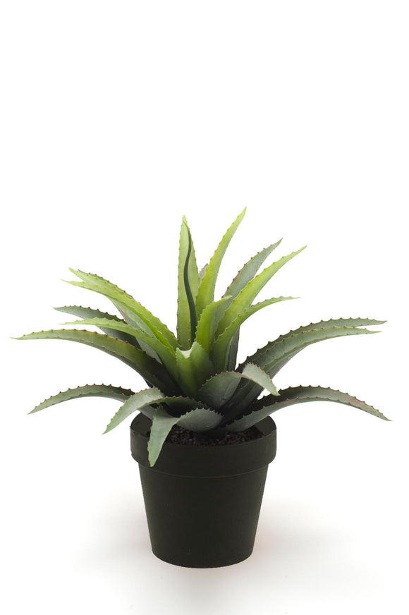 Agave Artificial - 1 Maceta - Verde