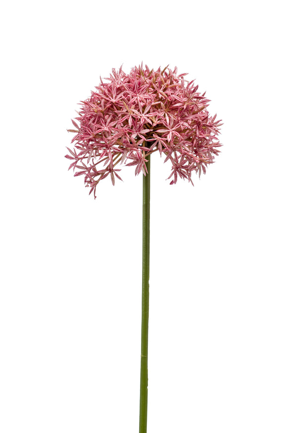 Allium artificial - 1 tallo - rosa