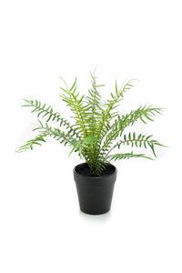 Artificial Ribbed fern - 1 pot - Green