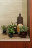 Timo artificiale 22 cm - 1 vaso - Verde