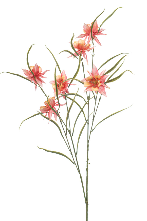 Aquilegia artificial - 1 tallo - melocotón