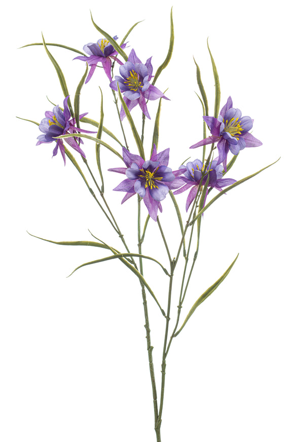 Aquilegia artificial - 1 tallo - morado