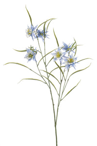 Aquilegia artificiale - 1 stelo - azzurro