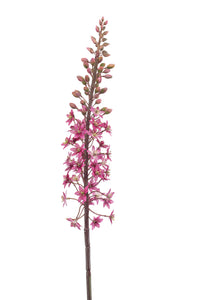 Vela artificial de estepa - 1 tallo - rojo fucsia