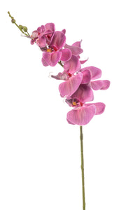 Orquídea artificial - 1 tallo - rojo fucsia