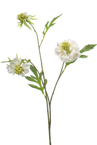 Escabiosa artificial - 1 tallo - blanca