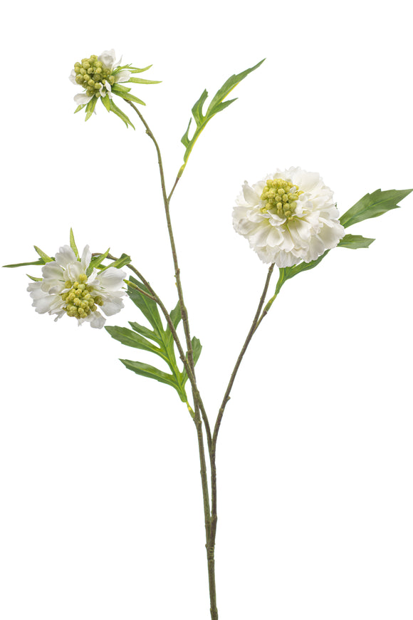 Escabiosa artificial - 1 tallo - blanca
