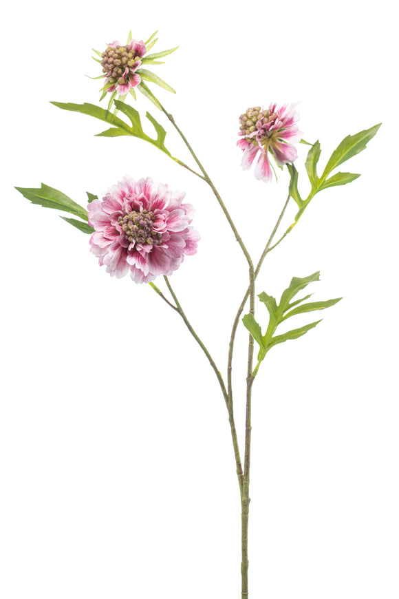 Escabiosa artificial - 1 tallo - rosa claro