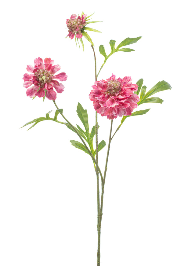 Escabiosa artificial - 1 tallo - rosa