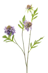 Escabiosa artificial - 1 tallo - Violeta