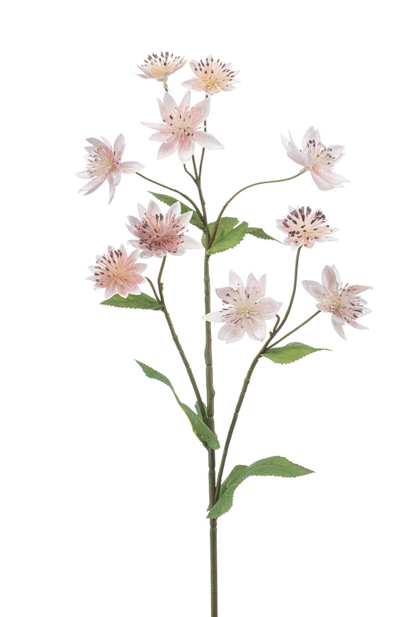 Astrantia artificial - 1 tallo - rosa claro