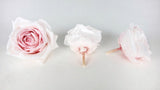 Rosas preservadas Avalanche Earth Matters - 3 cabezas - Rosa champán 131
