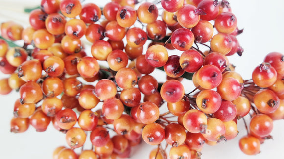 Berry cluster on stem - 1 Bunch - Flame