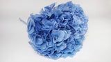Hortensia Preservada Extra - 1 Cabeza - Azul