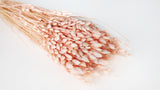 Briza maxima - 1 ramo - rosa claro