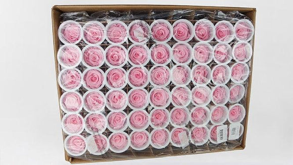 Rosas preservadas Kiara 6 cm - 1,80 €/rosa al por mayor 432 unidades - Bridal Pink