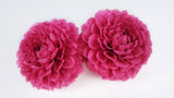 Dahlia Grace preservada Earth Matters - 2 cabezas - Fresa 221