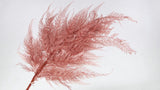 Fern Snowflake preservado - 10 tallos - Blush