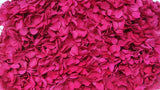 Hortensia preservada Anna - 1 cabeza - Rojo fucsia
