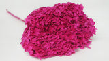 Hortensia preservada Anna - 1 cabeza - Rojo fucsia