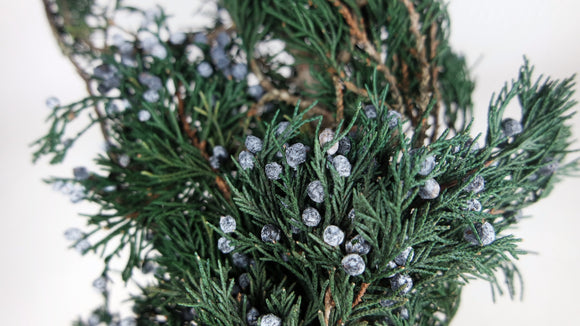 Conservas de enebro Earth Matters - 1 manojo - Verde 700