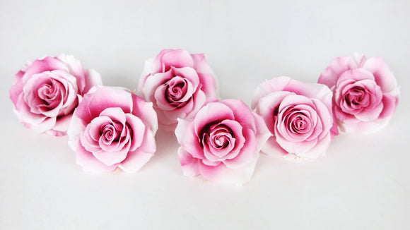 Rosas preservadas Grandeur Large Earth Matters - 6 cabezas - Champagne Berry 121