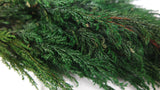 Thuja Preserves Earth Matters - 1 manojo - Verde 700