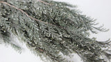 Cypress Hiba preservado Earth Matters - 2 piezas - Wash white 012