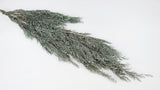 Cypress Hiba preservado Earth Matters - 2 piezas - Wash white 012