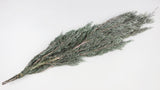 Cypress Hiba preservado Earth Matters - 2 piezas - Wash white 012