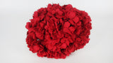 Hortensia preservada Kiara - 1 cabeza - Rojo vibrante