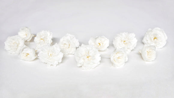 Rosas preservadas Green Ice Earth Matters - 12 cabezas - Blanco Puro 001