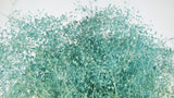 Gypsophila Mini preservada - 1 manojo - azul claro