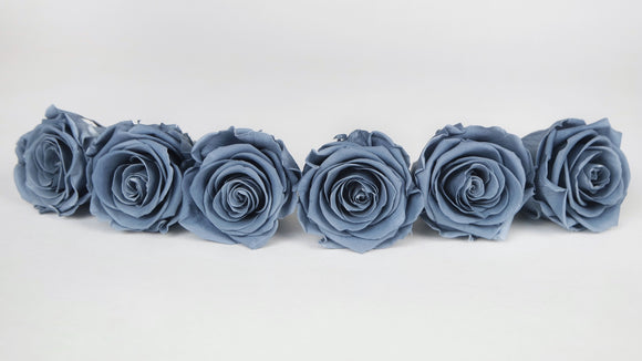 Rosas estabilizadas Kiara 6 cm - 6 piezas - Night Shadow