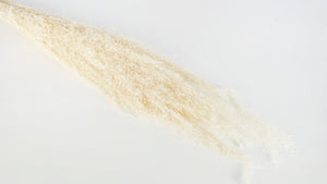 Agrostis nebulosa seco - 1 manojo - Blanco
