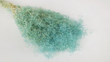 Gypsophila Mini preservada - 1 manojo - azul claro