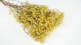 Gypsophile stabilisé - 1 botte - Sunny yellow