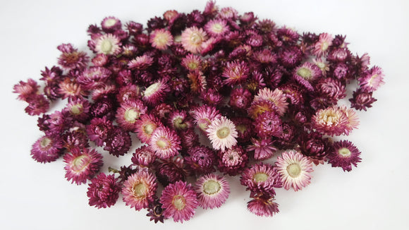 Cabezas de flor de paja - 200 g - color natural morado