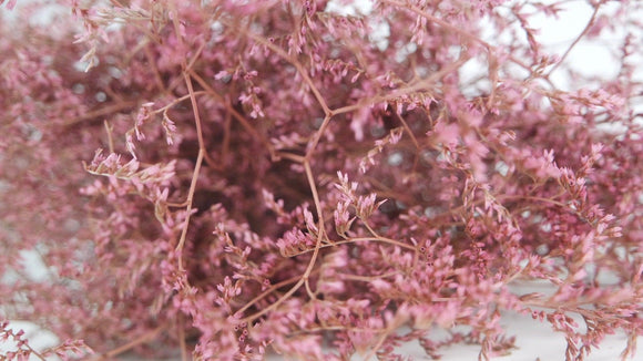 Limonium getrocknet - 1 Bund XL - Vintage rosa - Si-nature