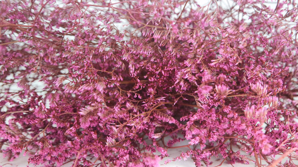 Limonium seco - 1 manojo XL - rosa vintage