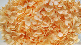 Preserved hydrangea Anna - 1 head - Peach