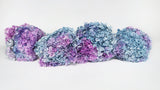Hortensia preservada Anna - 1 ramo - Arcoíris morado/azul