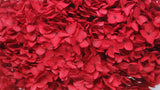 Preserved hydrangea Anna - 1 head - Red
